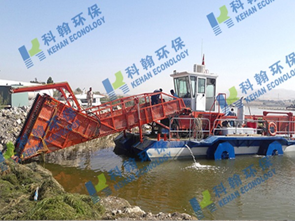 Sea surface cleaning boat