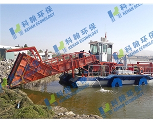 Sea surface cleaning boat