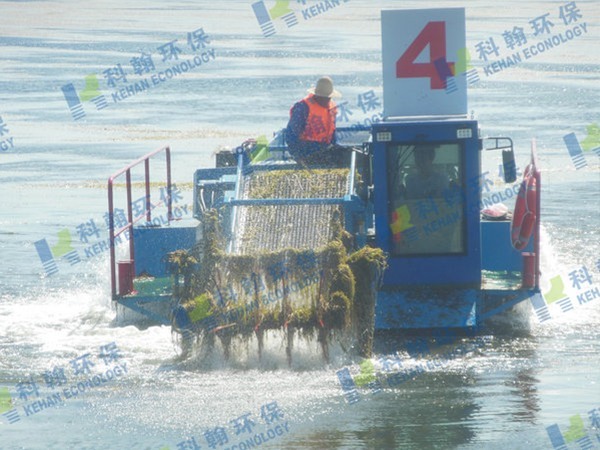 Kehan Customized Semi-automatic Water Lotus Collecting Boat