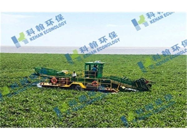 Water hyacinth Collecting boat