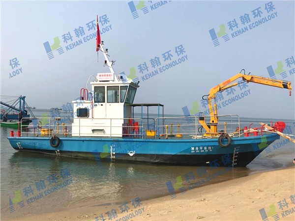 Multi-functional working ship
