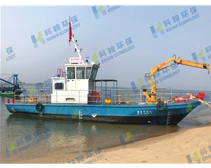 Multi-functional working ship