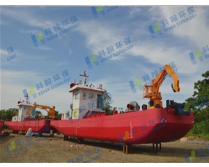 Multi-functional working ship