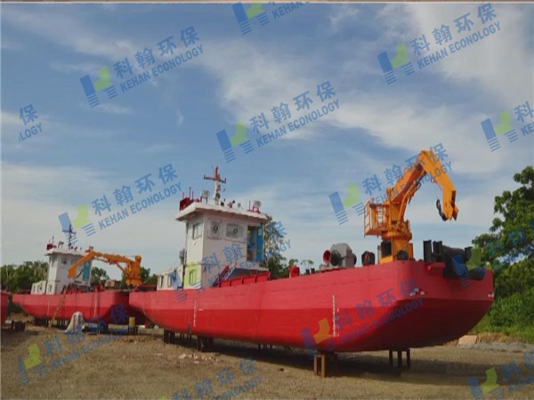 Multi-functional working ship