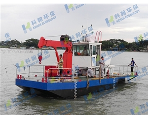 Multi-functional working ship