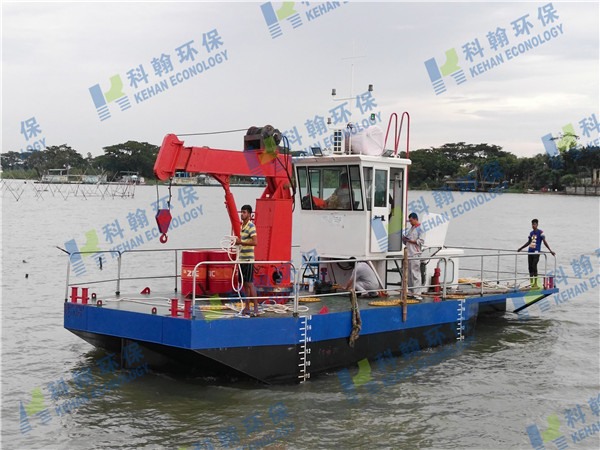 Multi-functional working ship