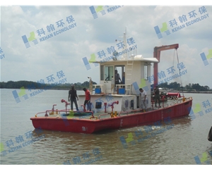 Multi-functional working ship