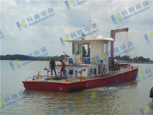 Multi-functional working ship